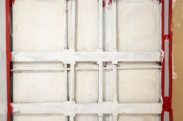 Best Basement Mold Removal  in Leesburg, FL