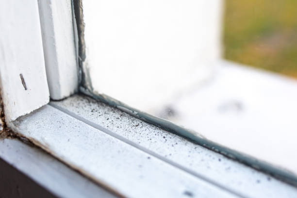 Best Indoor Air Quality Assessment  in Leesburg, FL