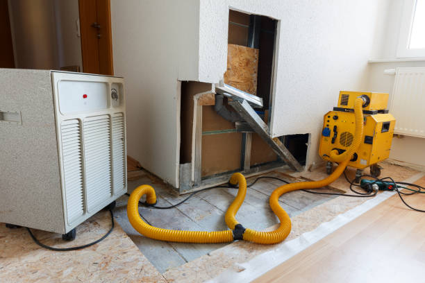 Best Asbestos and Lead Testing During Mold Inspection  in Leesburg, FL